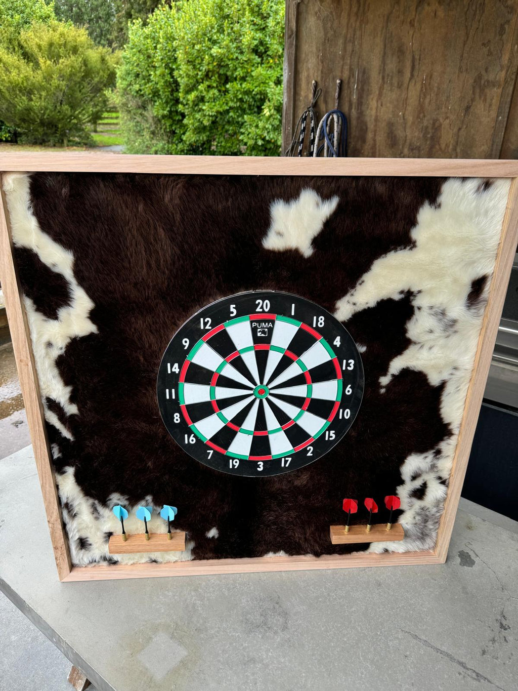 Dart Boards