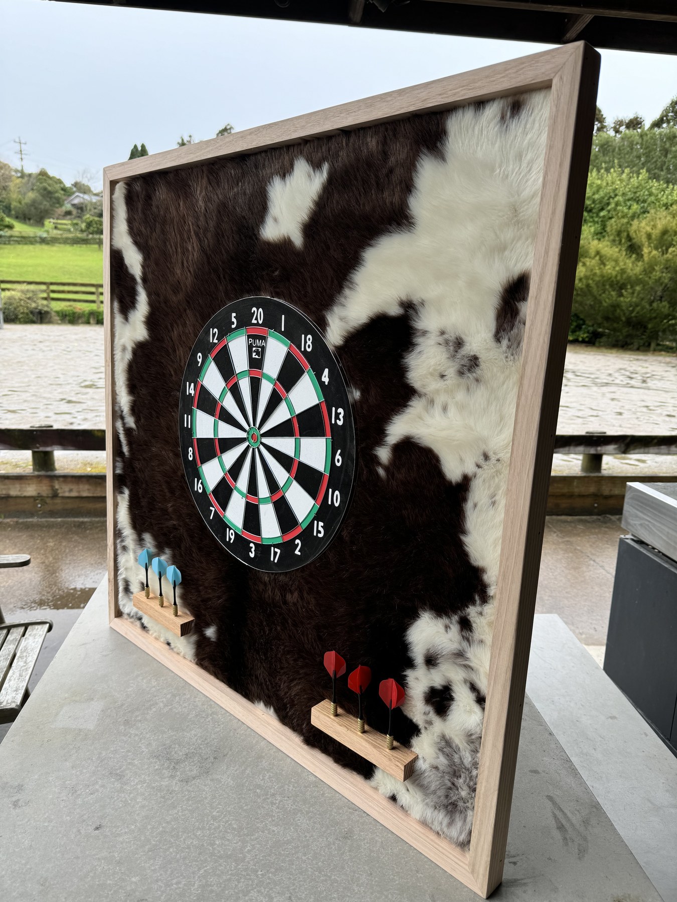 Dart Boards 2